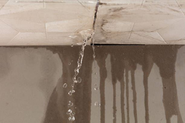 Professional Structural Drying technician working in Potsdam, OH